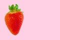Fresh bright strawberry isolated on pink pastel background Royalty Free Stock Photo
