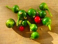 Fresh bright vegetables on a wood background. Green pepper, red chilli pepper. Autumn still life.