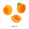Fresh, bright whole and halved apricots, leaves, fruits on an abstract background. Doodle
