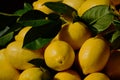 Fresh bright yellow lemons with vaxy green leaves on display Royalty Free Stock Photo