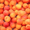 Fresh bright yellow plums, mirabelles, in the weekly market