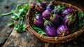 Fresh brinjal on basket Royalty Free Stock Photo