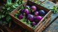 Fresh brinjal on basket Royalty Free Stock Photo