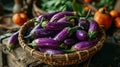 Fresh brinjal on basket Royalty Free Stock Photo