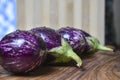 Fresh brinjal vegetable on chopping board