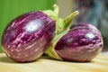 Fresh Brinjals Group Eggplant or Aubergine