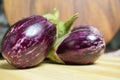 Fresh Brinjals Group Eggplant or Aubergine