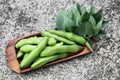 Fresh broad beans Royalty Free Stock Photo