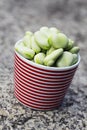 Fresh broad beans Royalty Free Stock Photo