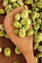 Fresh broad beans