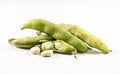 fresh broad beans from the market Royalty Free Stock Photo