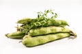 fresh broad beans from the market Royalty Free Stock Photo