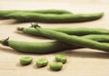 Fresh Broad Beans, vicia faba Royalty Free Stock Photo