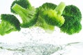 Fresh broccoli Royalty Free Stock Photo