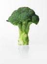 Fresh broccoli Royalty Free Stock Photo