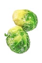 fresh broccoli cabbage
