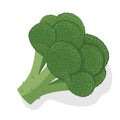 Fresh broccoli cabbage