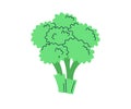 Fresh broccoli. Cartoon simple flat hand drawn style Royalty Free Stock Photo