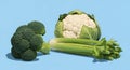 Fresh Broccoli, Cauliflower, and Celery on a Light Blue Background Royalty Free Stock Photo