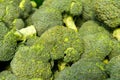 Fresh broccoli Royalty Free Stock Photo