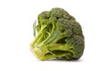 Fresh broccoli isolated on white background Royalty Free Stock Photo