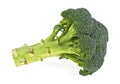 Fresh broccoli isolated on white background Royalty Free Stock Photo