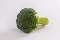 Fresh broccoli isolated on white background Royalty Free Stock Photo