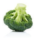 Fresh broccoli isolated on white background Royalty Free Stock Photo