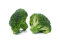 Fresh broccoli isolated on a white background Royalty Free Stock Photo