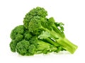 Fresh broccoli isolated on white background Royalty Free Stock Photo