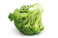 fresh broccoli isolated on white background close-up with full depth of field.