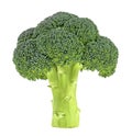 Fresh broccoli isolated on white background. Full depth of field Royalty Free Stock Photo