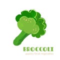 Fresh broccoli isolated on white background. Royalty Free Stock Photo