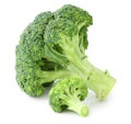 Fresh Broccoli isolated on white background, including clipping path without shade. Royalty Free Stock Photo