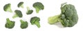 fresh broccoli isolated on white background. Top view. Flat lay pattern Royalty Free Stock Photo