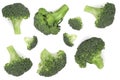 Fresh broccoli isolated on white background. Top view. Flat lay pattern Royalty Free Stock Photo