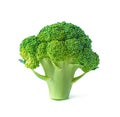 Fresh broccoli isolated on a white background. Vegetarian food. Royalty Free Stock Photo