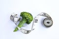 Concept of healthy eating and slimming diet with vegetables