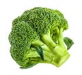 Fresh broccoli isolated on white without shadow Royalty Free Stock Photo