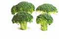 Fresh broccoli pattern Royalty Free Stock Photo