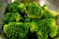 Fresh broccoli in a plate, freshness, healthy food