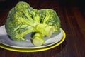 Fresh broccoli on a plate suitable for the preparation of lettuce, soup or sauce. Royalty Free Stock Photo