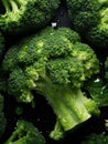 Fresh broccoli ready to eat or mix in a salad