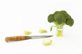 Fresh broccoli with scared cartoon style faces on white background Royalty Free Stock Photo