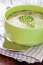 Fresh broccoli soup Royalty Free Stock Photo