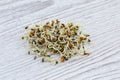 Fresh broccoli sprouts Royalty Free Stock Photo