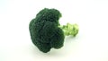 Fresh broccoli on white background Royalty Free Stock Photo