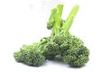 Fresh broccolini