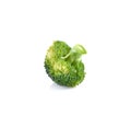 Fresh brocoli on white background Royalty Free Stock Photo