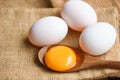 Fresh broken egg yolk, duck eggs white collect from farm products natural in a sack healthy eating